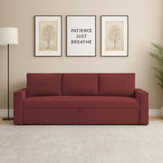 Karter 3 Seater Sofa Cum Bed for Living Room (Black Fabric) Premium Fabric Sofa