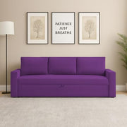 Karter 3 Seater Sofa Cum Bed for Living Room (Black Fabric) Premium Fabric Sofa