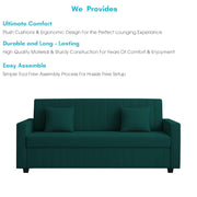 Cameron 3 Seater Sofa Cum Bed for Living Room (Pine Fabric) Premium Fabric Sofa