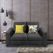 Nancy 2 Seater Sofa Set for Living Room | Color - Brown Grey