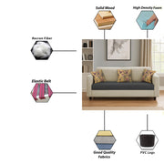 Lifestyle 3 Seater Sofa for Living Room (Black Colour Fabric)