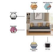 Lifestyle 3 Seater Sofa for Living Room (Black Colour Fabric)