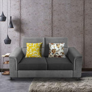 Nancy 2 Seater Sofa Set for Living Room | Color - Brown Grey