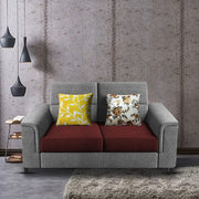 Nancy 2 Seater Sofa Set for Living Room | Color - Brown Grey