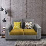 Nancy 2 Seater Sofa Set for Living Room | Color - Brown Grey