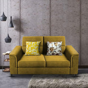 Nancy 2 Seater Sofa Set for Living Room | Color - Brown Grey