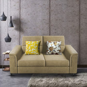 Nancy 2 Seater Sofa Set for Living Room | Color - Brown Grey