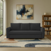 Clifton 3 Seater Sofa Cum Bed for Living Room (Black Fabric) Premium Fabric Sofa