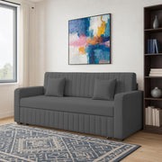 Cameron 3 Seater Sofa Cum Bed for Living Room (Dark Grey Fabric) Premium Fabric Sofa