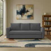 Clifton 3 Seater Sofa Cum Bed for Living Room (Dark Grey Fabric) Premium Fabric Sofa