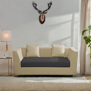 Casaliving Amida 2 Seater Sofa Set for Living Room (Blue Colour) Premium Fabric Sofa